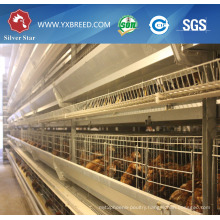 Non-Rusty Hot DIP Galvanized Wire Mesh Battery Cage